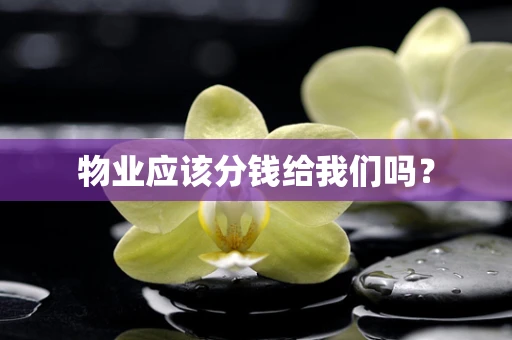物业应该分钱给我们吗？