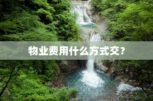 物业费用什么方式交？