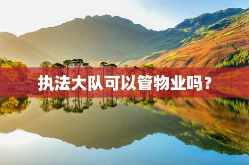 执法大队可以管物业吗？