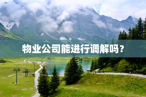 物业公司能进行调解吗？