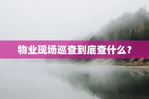 物业现场巡查到底查什么？