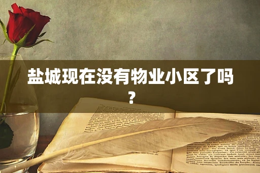 盐城现在没有物业小区了吗？