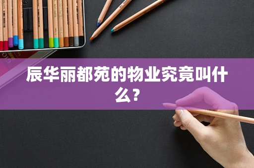 辰华丽都苑的物业究竟叫什么？
