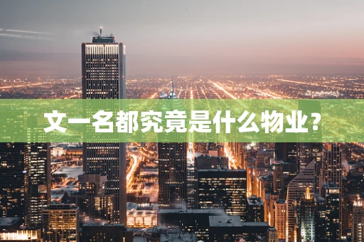 文一名都究竟是什么物业？