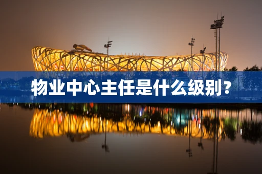 物业中心主任是什么级别？