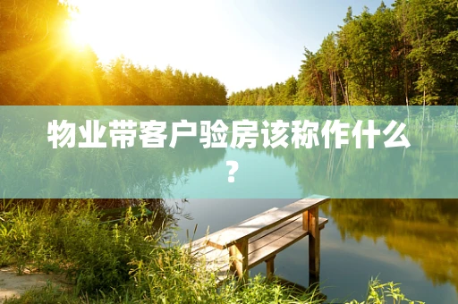 物业带客户验房该称作什么？