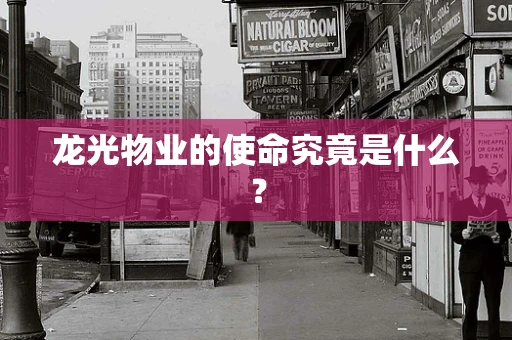 龙光物业的使命究竟是什么？
