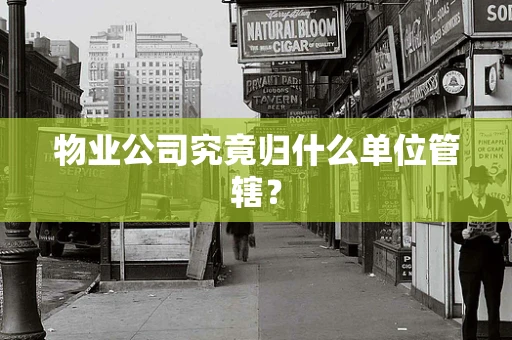 物业公司究竟归什么单位管辖？