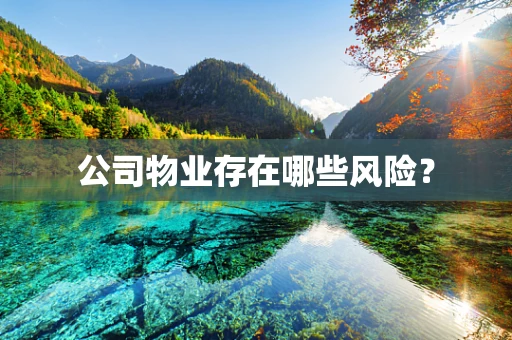 公司物业存在哪些风险？