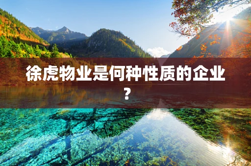 徐虎物业是何种性质的企业？