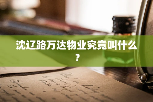沈辽路万达物业究竟叫什么？