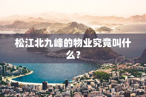 松江北九峰的物业究竟叫什么？