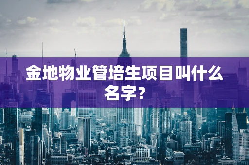 金地物业管培生项目叫什么名字？