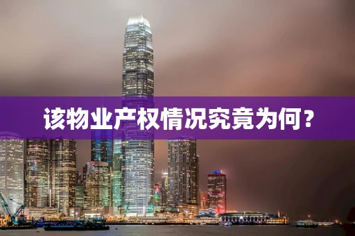 该物业产权情况究竟为何？