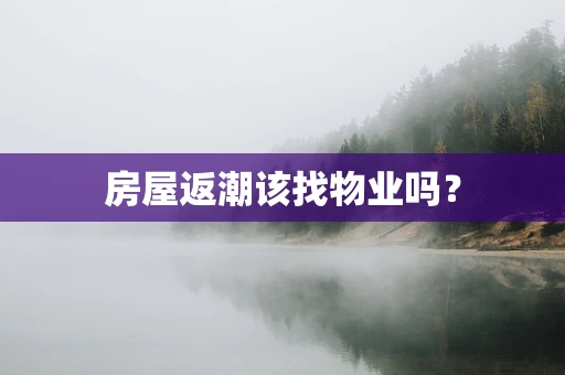 房屋返潮该找物业吗？