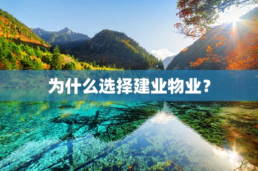 为什么选择建业物业？