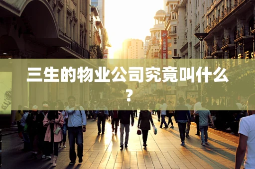 三生的物业公司究竟叫什么？