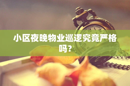 小区夜晚物业巡逻究竟严格吗？