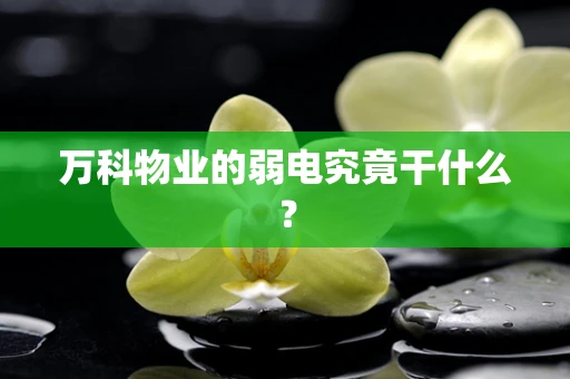 万科物业的弱电究竟干什么？
