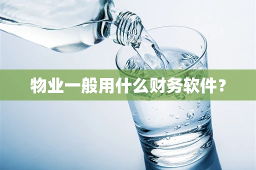 物业一般用什么财务软件？