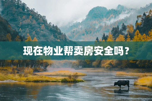 现在物业帮卖房安全吗？