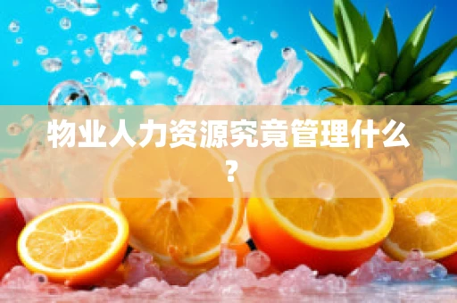 物业人力资源究竟管理什么？