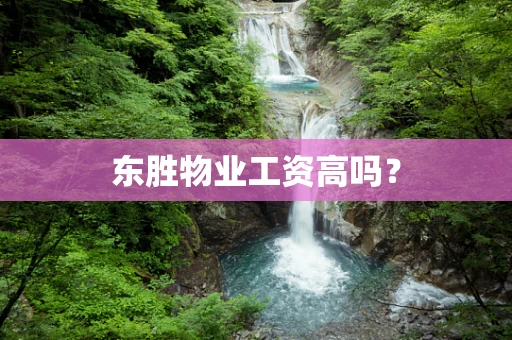 东胜物业工资高吗？