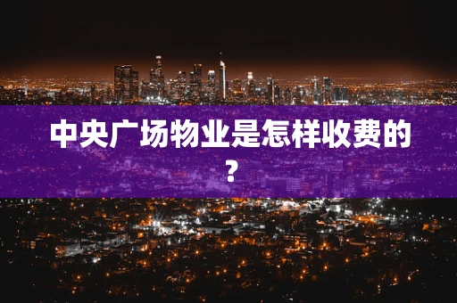 中央广场物业是怎样收费的？