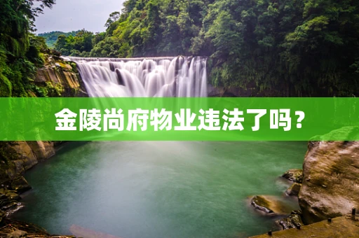 金陵尚府物业违法了吗？