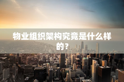 物业组织架构究竟是什么样的？