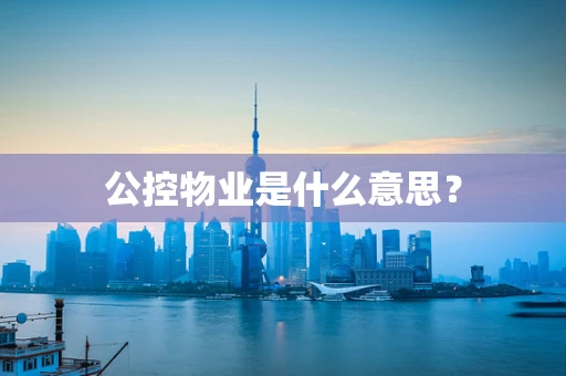 公控物业是什么意思？