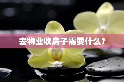 去物业收房子需要什么？
