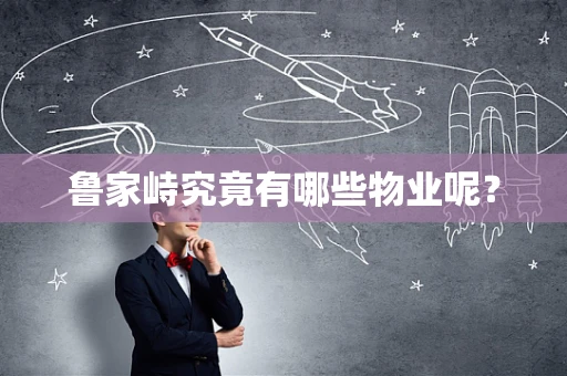 鲁家峙究竟有哪些物业呢？