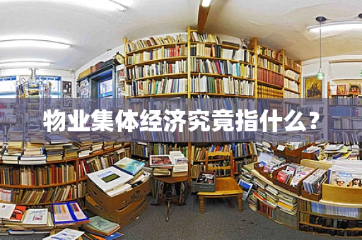 物业集体经济究竟指什么？