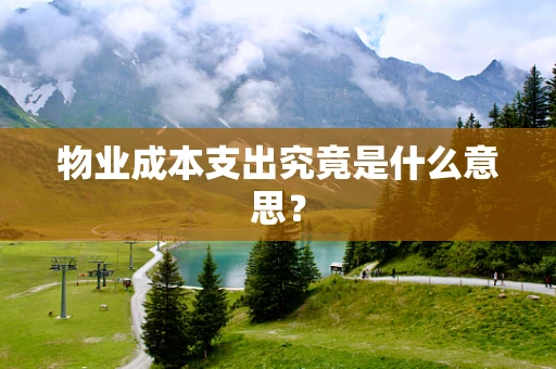 物业成本支出究竟是什么意思？