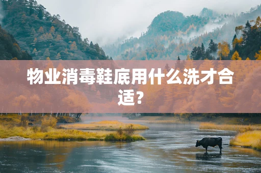 物业消毒鞋底用什么洗才合适？