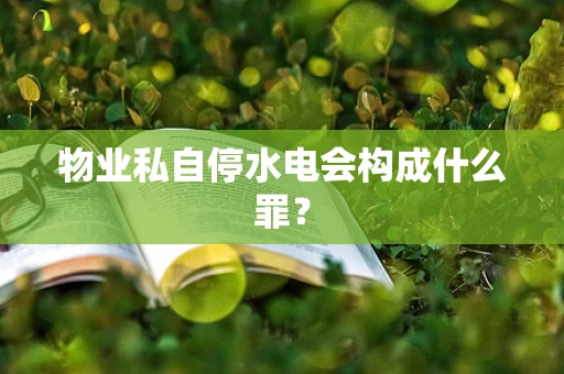 物业私自停水电会构成什么罪？