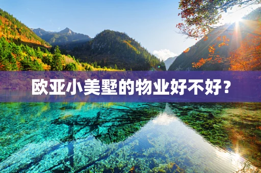 欧亚小美墅的物业好不好？