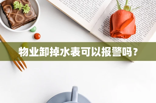 物业卸掉水表可以报警吗？