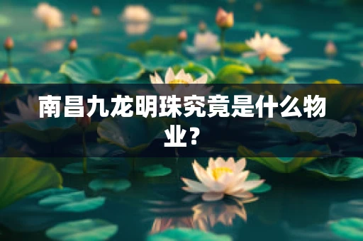 南昌九龙明珠究竟是什么物业？