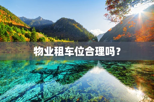 物业租车位合理吗？