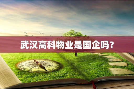 武汉高科物业是国企吗？