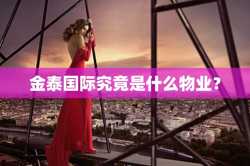 金泰国际究竟是什么物业？