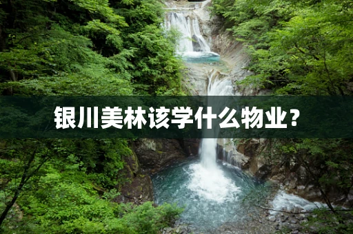 银川美林该学什么物业？