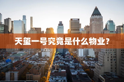 天玺一号究竟是什么物业？