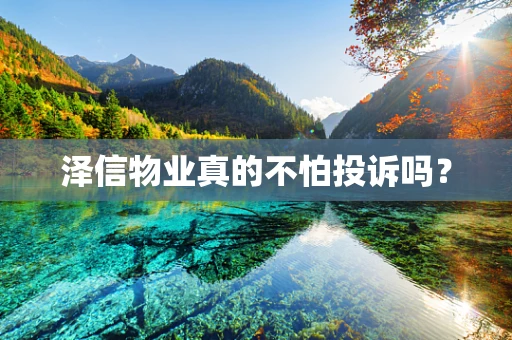 泽信物业真的不怕投诉吗？