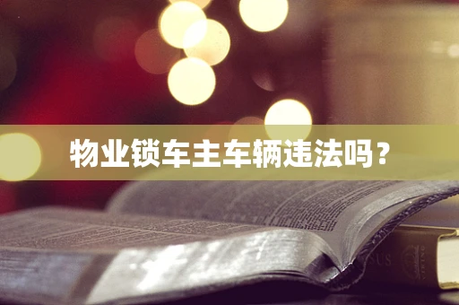 物业锁车主车辆违法吗？
