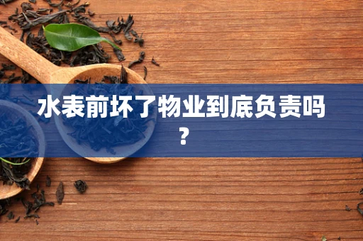 水表前坏了物业到底负责吗？