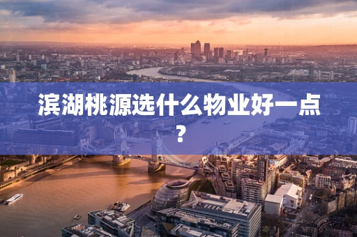 滨湖桃源选什么物业好一点？