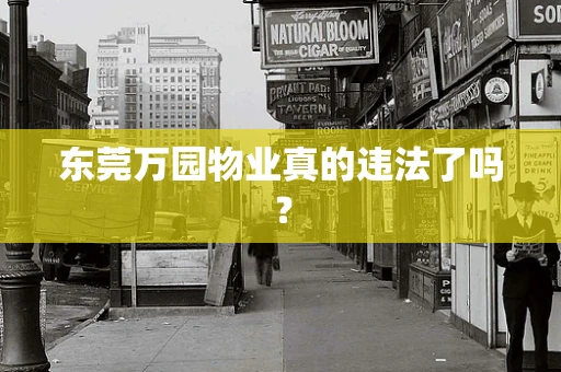 东莞万园物业真的违法了吗？